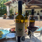 Photo n°4 de l'avis de davide.e fait le 05/05/2023 à 21:43 sur le  Ristorante L'olivo à Castagneto Carducci