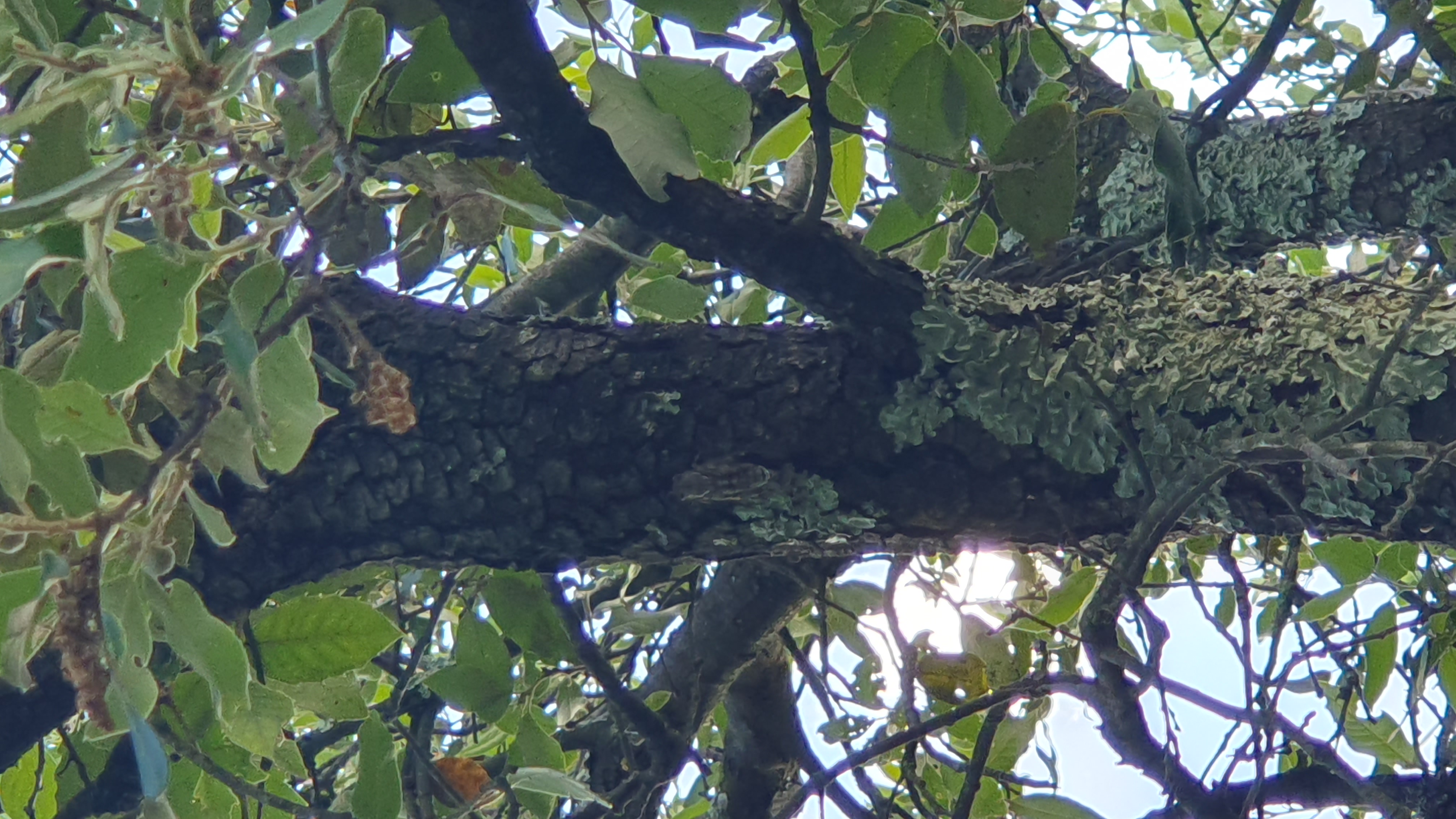 Photo n° 7 de l'avis de Isabelle.e fait le 08/07/2023 à 08:14