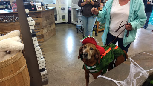 Pet Supply Store «Premier Pet Supply», reviews and photos, 15399 Merriman Rd, Livonia, MI 48154, USA
