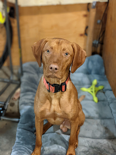 Bicycle Store «Montlake Bicycle Shop», reviews and photos, 2223 24th Ave E, Seattle, WA 98112, USA