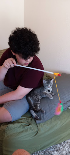 Pet Supply Store «Lemos Feed & Pet Supply», reviews and photos, 120 Traffic Way, Arroyo Grande, CA 93420, USA