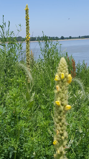 National Park «Missouri National Recreational River», reviews and photos, 508 E 2nd St, Yankton, SD 57078, USA
