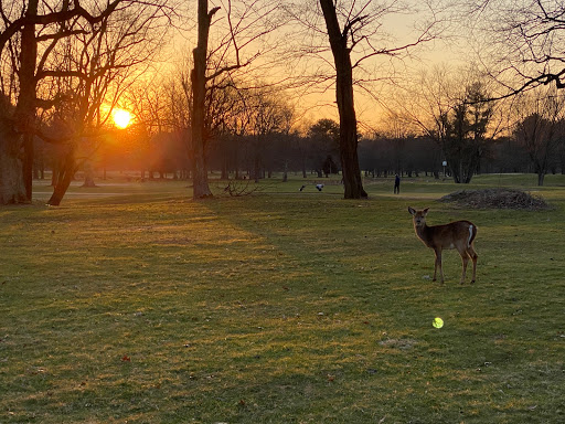 Public Golf Course «Algonkian Golf Course», reviews and photos, 47001 Fairway Dr, Sterling, VA 20165, USA