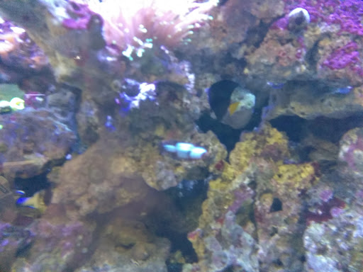 Pet Supply Store «Coastline Pet Supply», reviews and photos, 3530 Northgate Dr, Myrtle Beach, SC 29588, USA