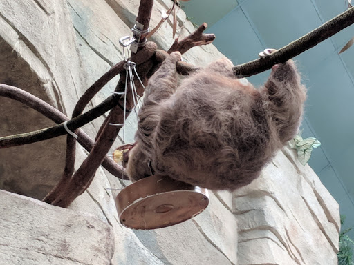 Zoo «Tropic World», reviews and photos, 3300 Golf Rd, Brookfield, IL 60513, USA