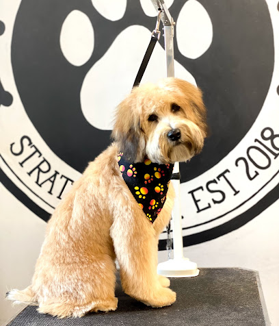 One Pampered Pup Dog Grooming & Training