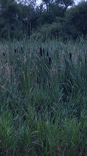 Public Golf Course «Oak Marsh Golf Course», reviews and photos, 526 Inwood Ave N, Oakdale, MN 55128, USA