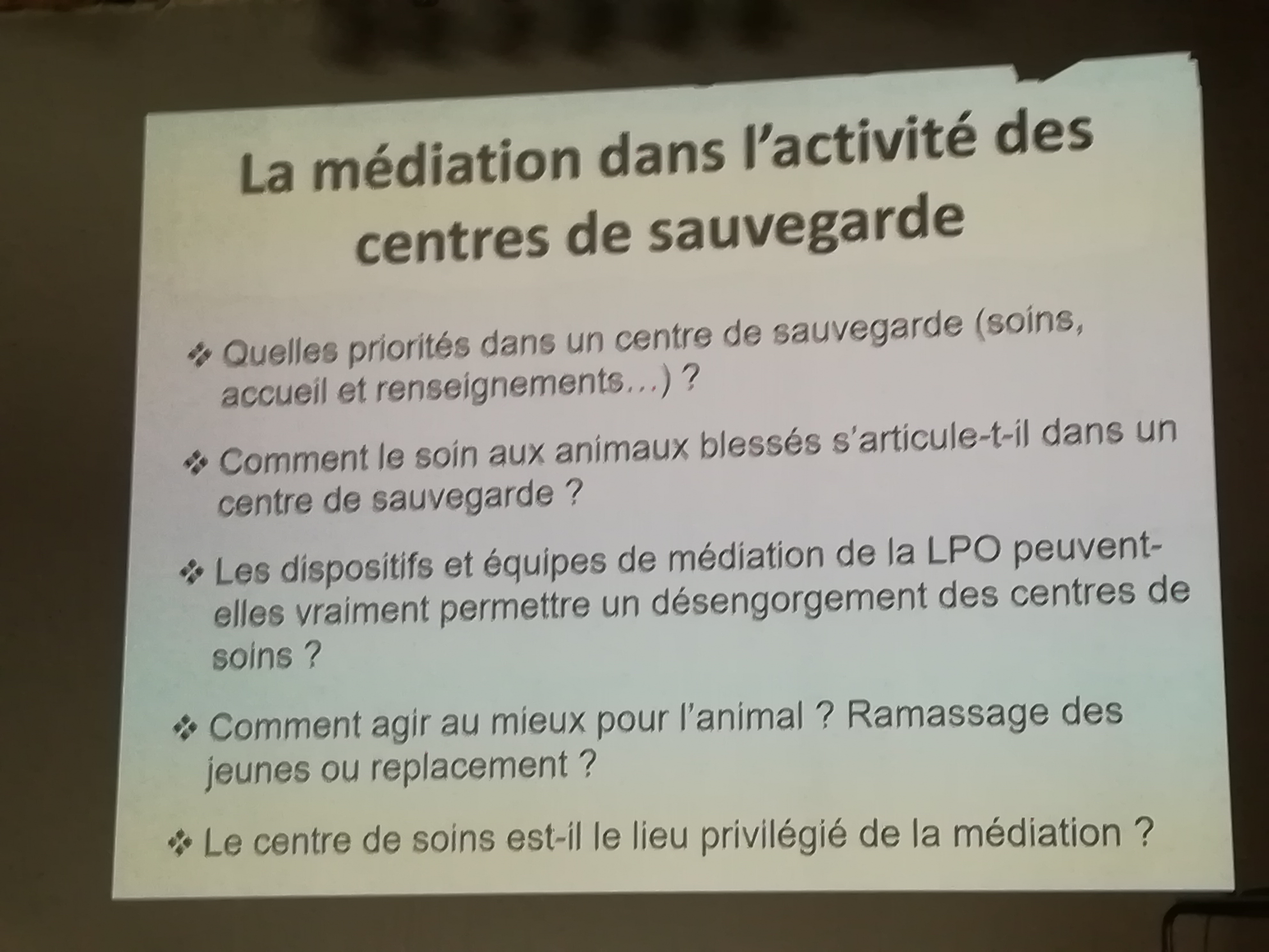 Photo n° 9 de l'avis de Nathalie.e fait le 29/06/2019 à 20:26
