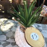 Photo n°4 de l'avis de antoine.a fait le 29/07/2019 à 15:50 sur le  Ristorante da Fabio à San Teodoro