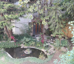 Buddhist center of Mexico City photo