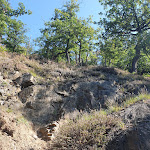 Photo n°6 de l'avis de Silke.t fait le 14/09/2023 à 04:51 sur le  Hotel zum Falken à Falkenstein