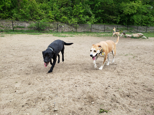 Pet Supply Store «Pet Supplies Plus», reviews and photos, 319 Massachusetts Ave, Lunenburg, MA 01462, USA