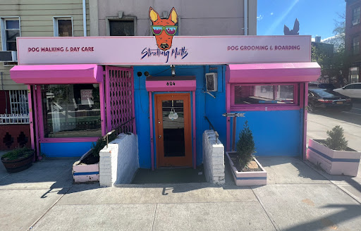 Photo of Strutting Mutts Dog Walkers Day Care