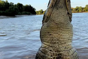 Croc Spot Tours image