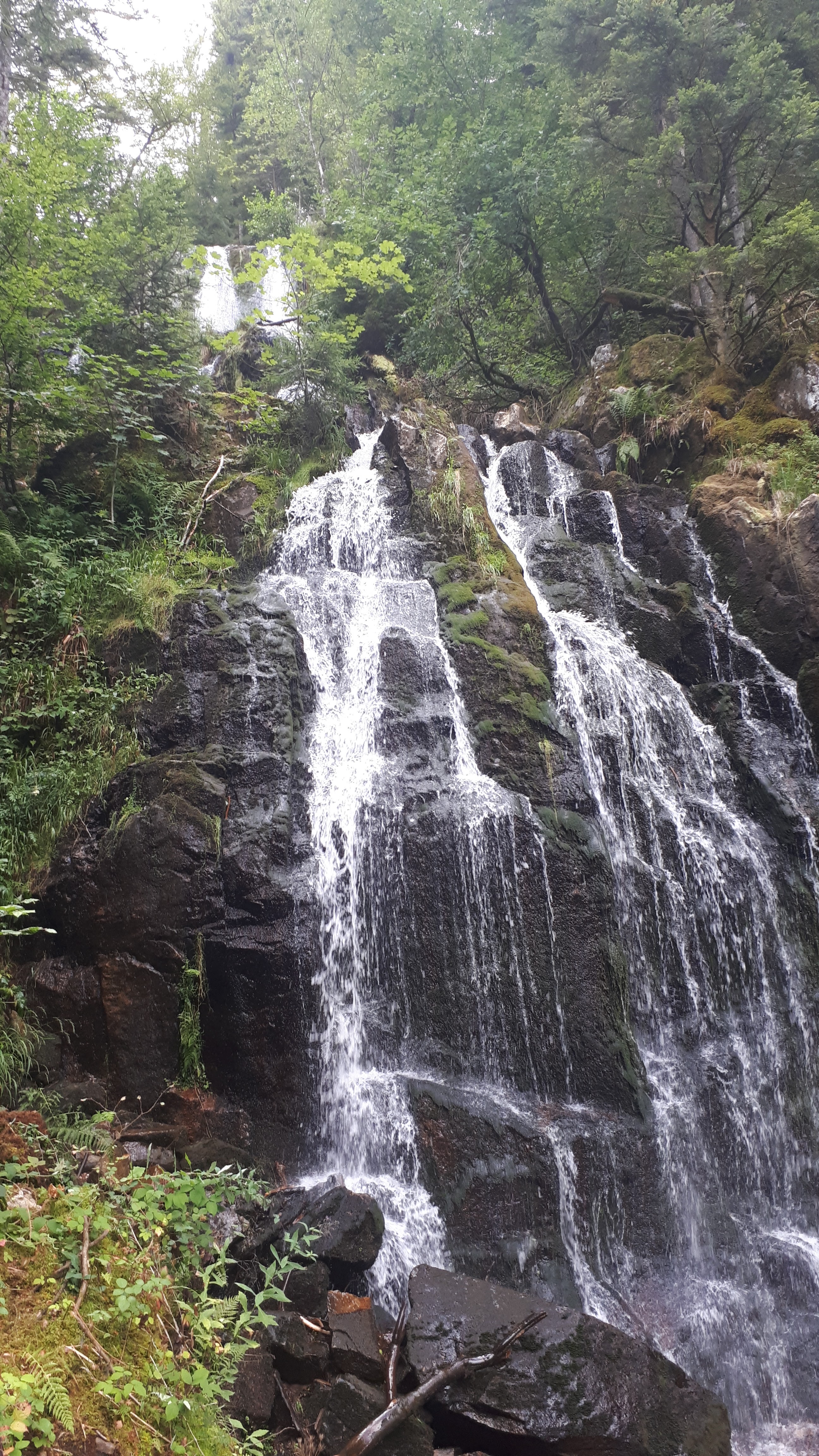 Photo n° 2 de l'avis de vincent.o fait le 11/08/2019 à 20:26