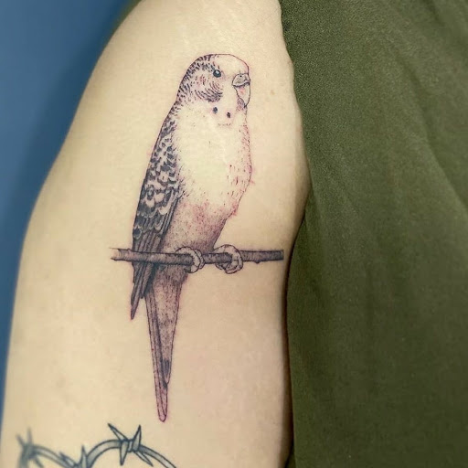 Explore cover up tattoos ideas, creative tattoo ideas in Schaumburg, available at Atmosphere Tattoo Gallery - Schaumburg