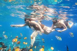 Ary Snorkeling Trips in Amed image