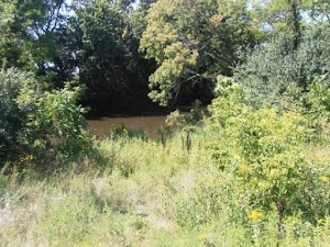 Cannon River Wilderness Area - photo 19