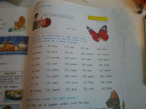 Day Spa «About Faces Day Spa & Salon Towson», reviews and photos, 894 Kenilworth Dr, Towson, MD 21204, USA