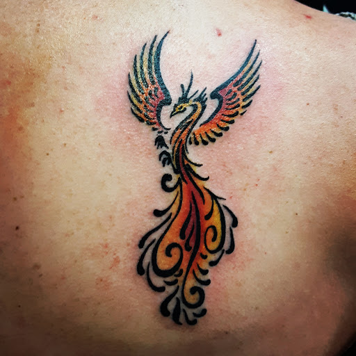 Tattoo Shop «Art In Motion Inc Tattooing», reviews and photos, 415 S Broadway St, Medina, OH 44256, USA