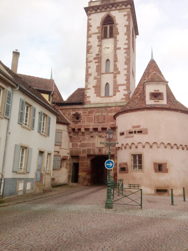 Château de Wasselonne à Wasselonne