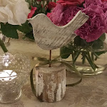 Photo n°4 de l'avis de Elisa.e fait le 27/07/2017 à 07:21 sur le  Trattoria al Paradiso à Paradiso