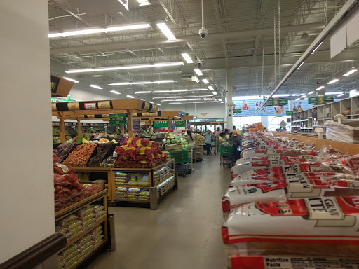 Grocery Store «Patel Brothers», reviews and photos, 830 W Golf Rd, Schaumburg, IL 60194, USA