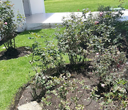 Museo Del Vidrio photo