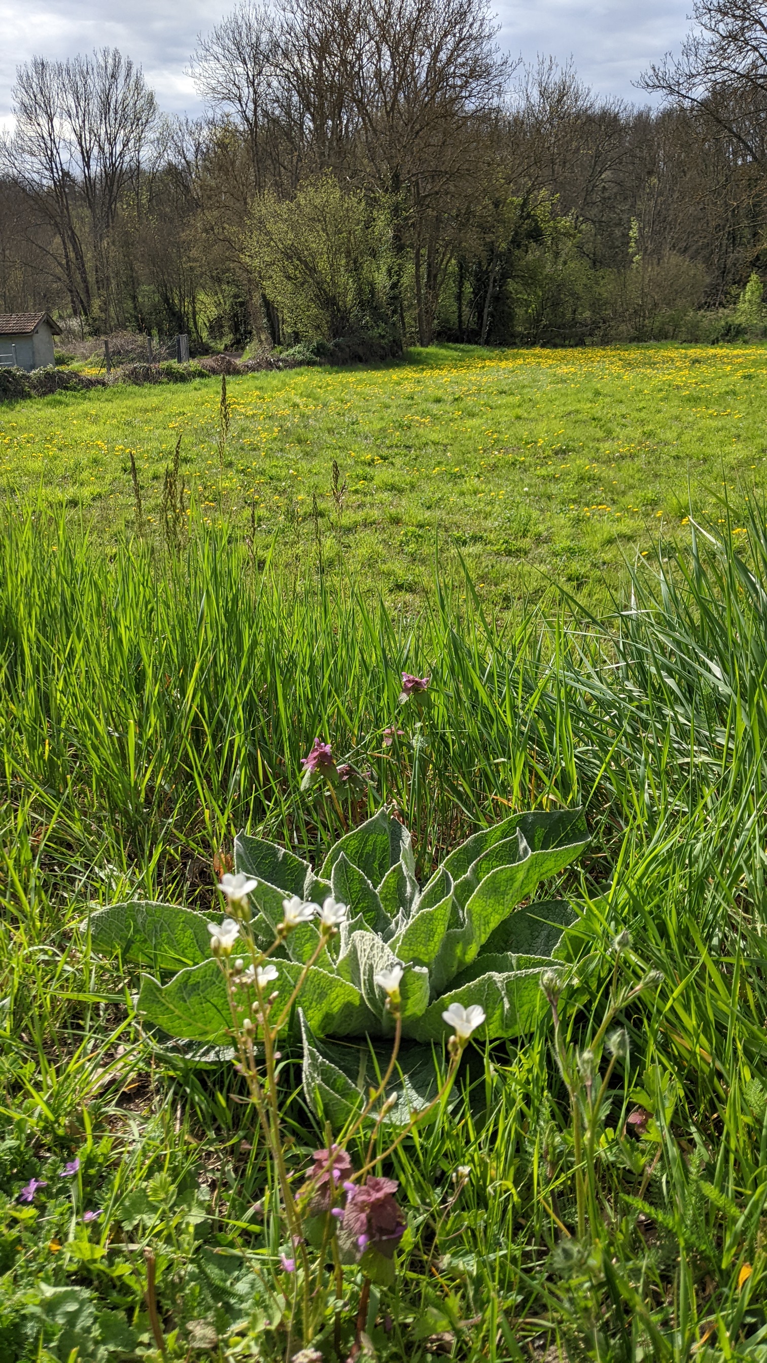 Photo n° 5 de l'avis de Oura.a fait le 27/04/2023 à 10:06