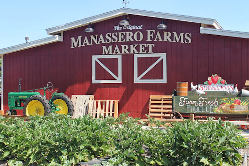 The Original Manassero Farms Market - Irvine