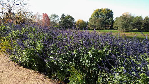 Water Park «Raging Waves Waterpark», reviews and photos, 4000 N Bridge St, Yorkville, IL 60560, USA