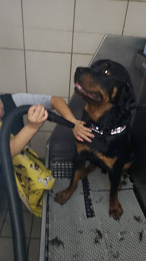 Pet Supply Store «Pet Supplies Plus», reviews and photos, 61 Irving Park Rd, Streamwood, IL 60107, USA