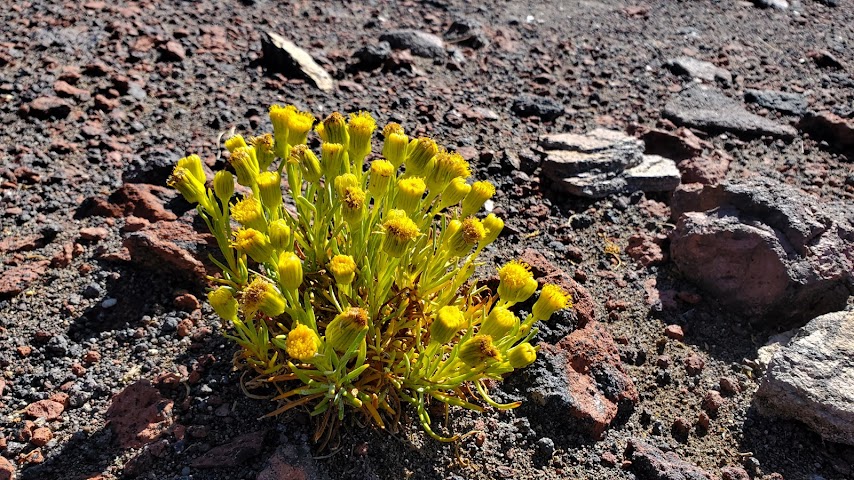 Pastos Grandes Lake by null