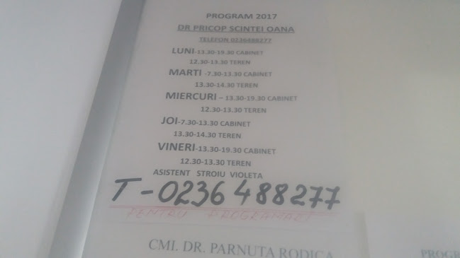 Cabinet Medical Dr Pricop Scintei Oana - Doctor