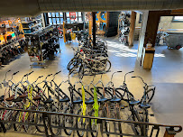 REI - Photo 7 - Car repair in Denver, CO, Denver