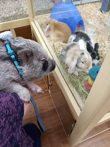 Pet Supply Store «Pet Supermarket», reviews and photos, 7805 Abercorn St, Savannah, GA 31406, USA