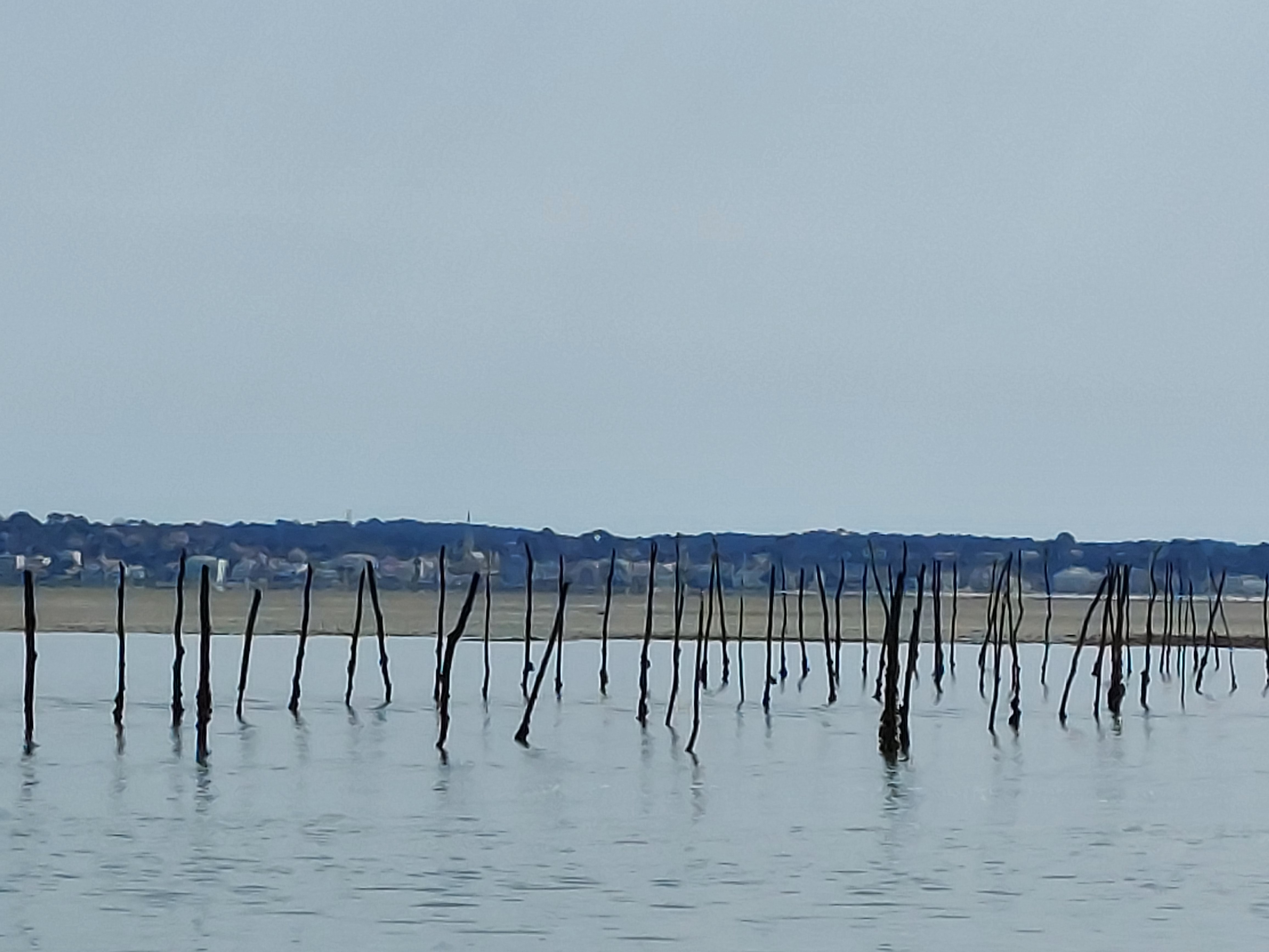 Photo n° 6 de l'avis de Anne.O fait le 28/03/2023 à 20:52