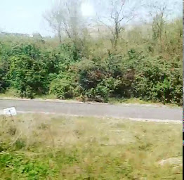 Photo n°16 de Le Royal De Vigneux à Vigneux-sur-Seine ()