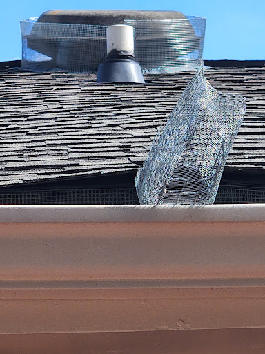 Pest Control Service «Attic Kings», reviews and photos