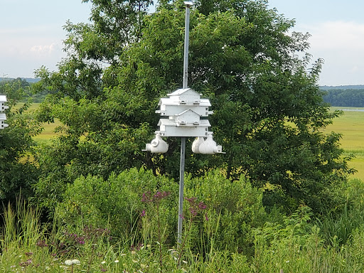 Nature Preserve «Meigs Point Nature Center», reviews and photos, 1288 Boston Post Rd, Madison, CT 06443, USA