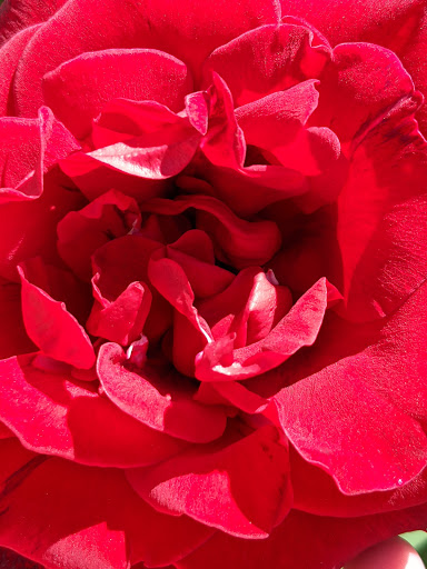 Movie Theater «Scappoose Cinema 7», reviews and photos, 33520 SW Edward Ln, Scappoose, OR 97056, USA