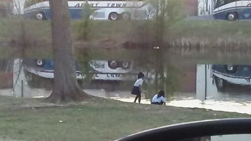 Auto Repair Shop «International Auto Center», reviews and photos, 7463 Old Alexandria Ferry Rd, Clinton, MD 20735, USA