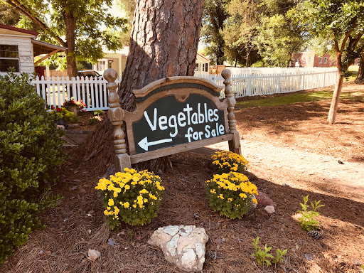 Hostel «Blue Goose Bike Hostel», reviews and photos, 128 E Main St, Irwinton, GA 31042, USA