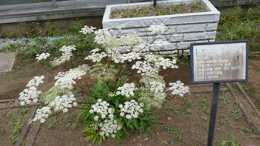 Medical Plant Garden of Hoshi University
