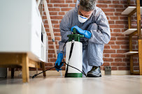 All Platinum Termite & Pest Control | Brooklyn Pest Control & Exterminators
