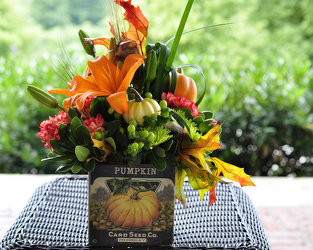 Florist «Polites Florist», reviews and photos, 443 Baltimore Pike, Springfield, PA 19064, USA