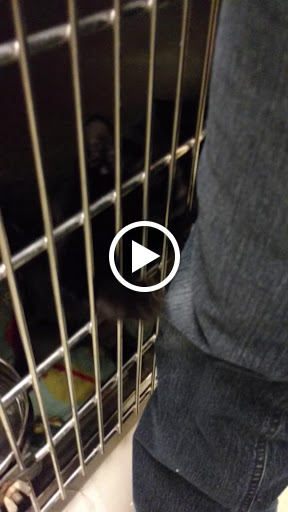 Pet Supply Store «PetSmart», reviews and photos, 2641 Lawndale Dr, Greensboro, NC 27408, USA