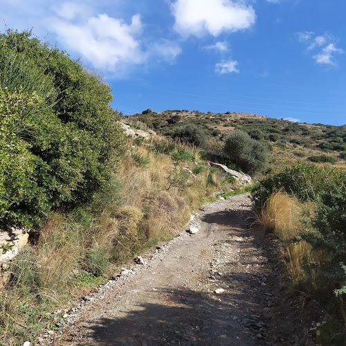 Comentarii opinii despre Παναγία Θεοσκέπαστη Σπηλαιώτισσα