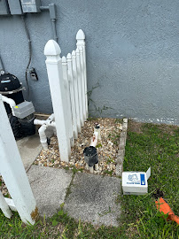 Angry Birds Irrigation & Landscapes LLC - Photo 7 - Car repair in , Lehigh Acres