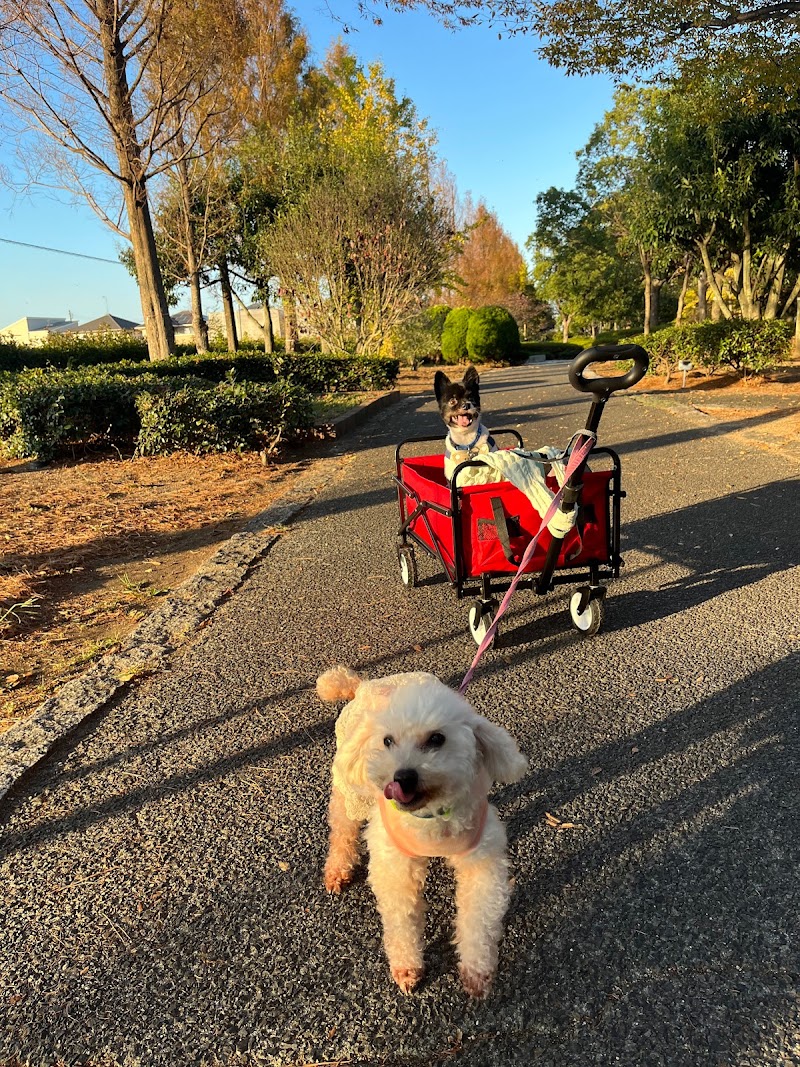 浦安総合公園西地区駐車場